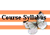  Course Syllabus 