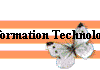  Information Technology 