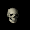 skull4.gif (40167 bytes)