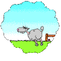 sheepjump.gif (16402 bytes)