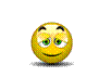 Text Box:  
