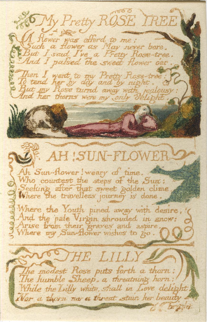 William Blake, "My Pretty Rose Tree"
