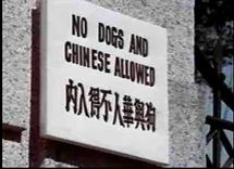 No dogs and Chinese sign